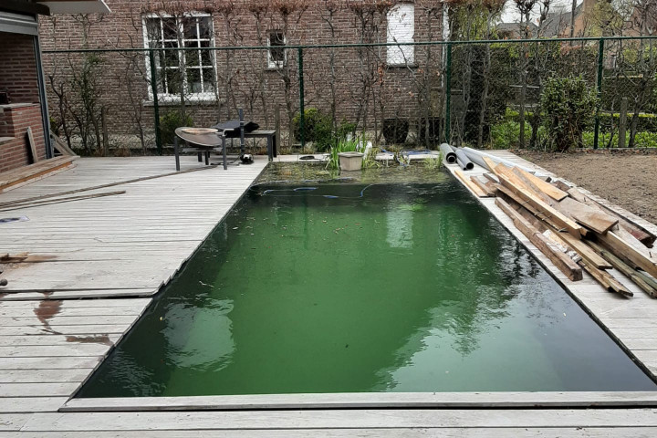 Rcs Vijver Zwemvijver (8)