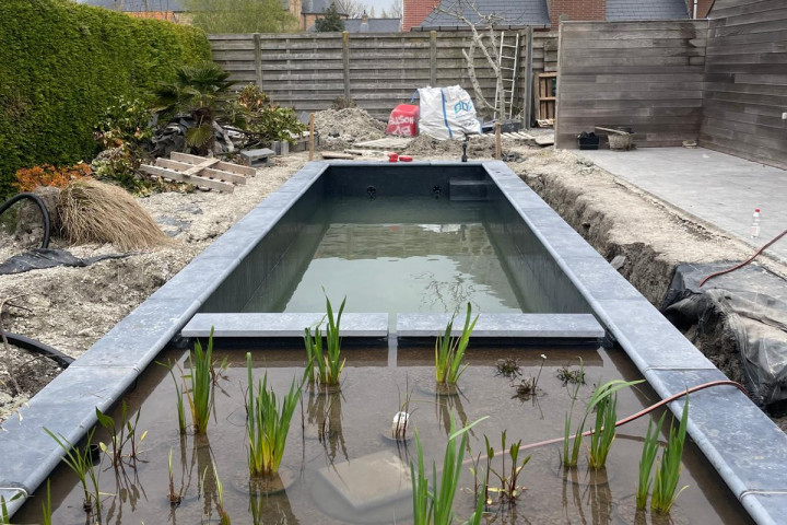 Rcs Vijver Zwemvijver Hoste (11)