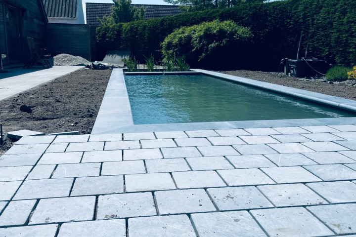 Rcs Vijver Zwemvijver Hoste (13)