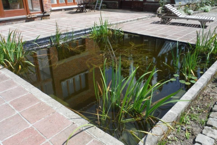 Rcs Watercoating (17)