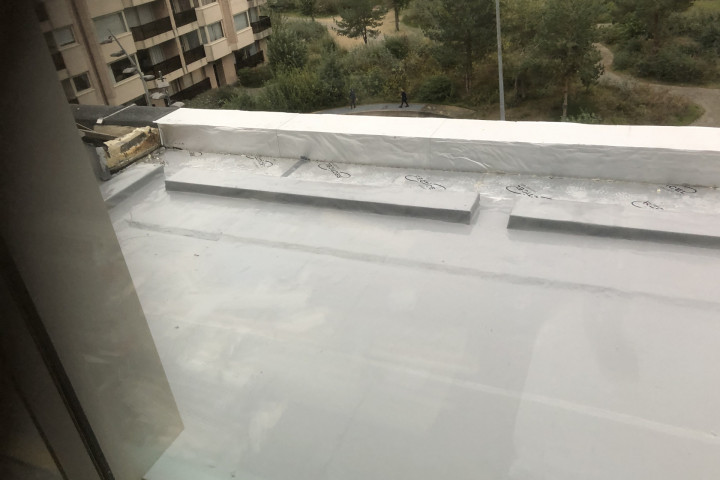 Rcs Afdichten Balkon (21)