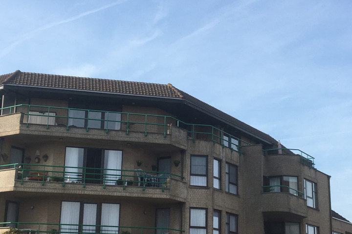 Rr Herstelling Bakgoot (6)