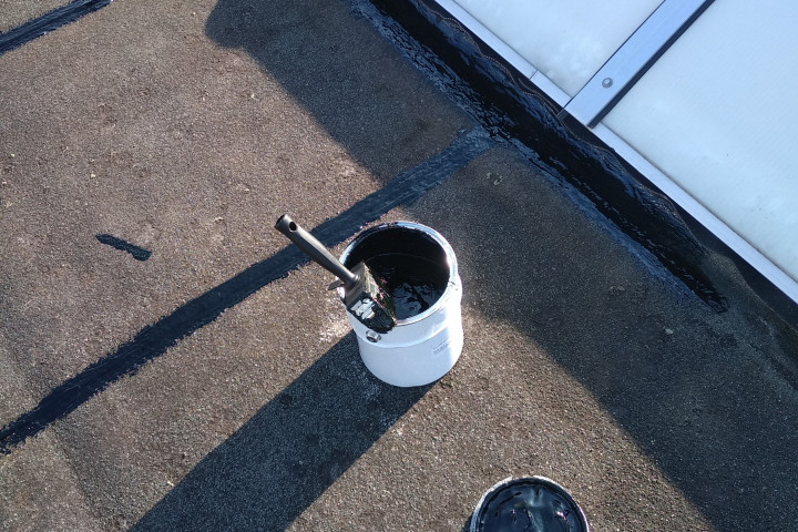 Rr Herstelling Lichtstraten Industriedak (8)