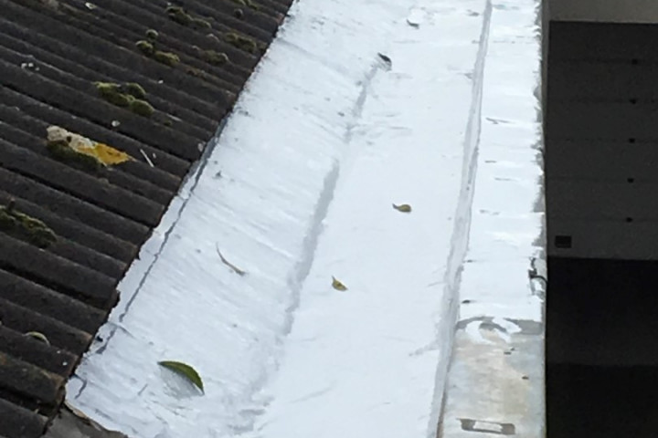 Renovatie Dakgoot (1)