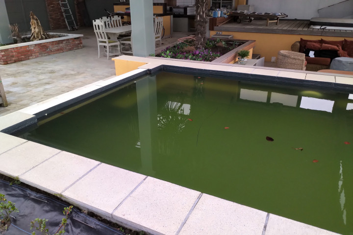 Wc2k Zwemvijver Afgewerkt (3)