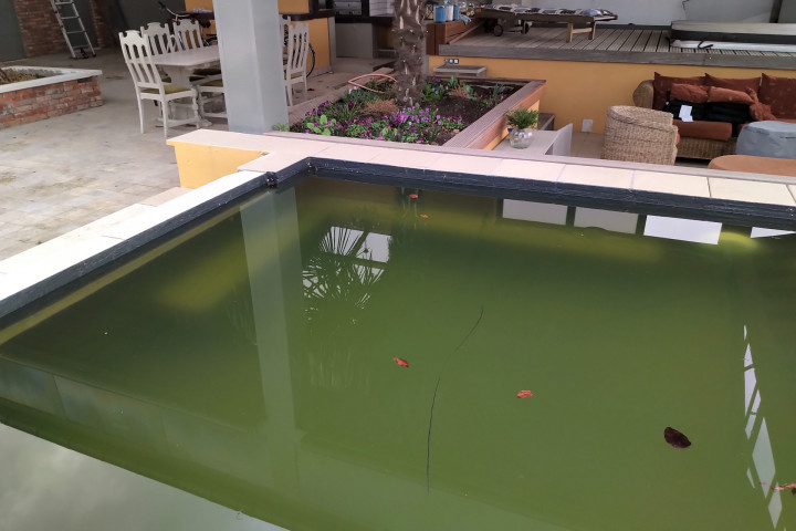 Wc2k Zwemvijver Afgewerkt (5)